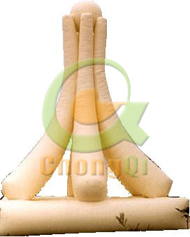 customized inflatable model